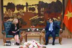 Le Premier ministre Pham Minh Chinh reçoit Mariam J. Sherman, directrice nationale de la BM pour le Vietnam, le Laos et le Cambodge. Photo: VNA