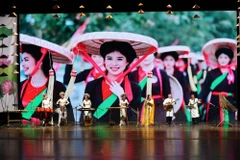 Un spectacle de chant traditionnel vietnamien. Photo : VNA