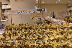 Les bananes vietnamiennes sont vendues environ 200 yens le paquet de quatre (environ 34 000 VND) au supermarché Aeon. (Photo : VNA)