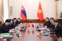 Panorama de la consultation politique Vietnam-Slovaquie. Photo: VNA