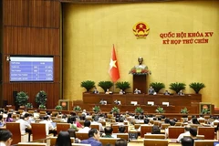 La 15e AN adopte la résolution modifiant et complétant plusieurs articles de la Constitution 