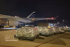 Le déchargement des marchandises a lieu à l'aéroport. Photo: VNA