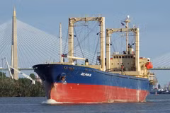 Le navire marchand Dolphin 18. Photo: qdnd