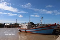 Des navires de pêche amarrés au port de pêche de Dinh An, commune de Dai An, province de Vinh Long. Photo: VNA 