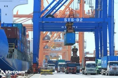 Les exportations devraient augmenter de 10 à 12 % en 2025 par rapport à 2024. Photo: VietnamPlus