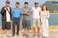 La tortue marine a été secourue par des pêcheurs locaux. Source : baoquangngai.vn