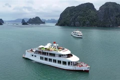 Des premiers navires du projet de développement d'une flotte de navires de croisière de jour et de nuit sur la baie de Bai Tu Long. Photo: VNA