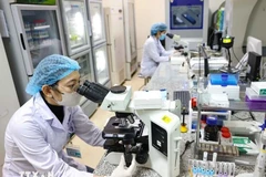 À l’horizon 2045, le corps intellectuel devra figurer parmi les meilleurs de la région et atteindre un niveau proche de celui des pays développés. Photo : VNA