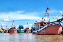 Bateaux de pêche ancrés au port de Ganh Hao (province de Ca Mau). Photo : VNA