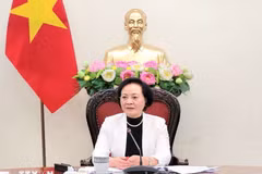 La vice-Première ministre Pham Thi Thanh Trà s'exprime. Photo: VNA