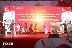 Un spectacle lors du programme des arts traditionnels vietnamiens à Singapour. (Photo : VNA)