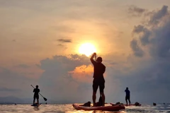 Les touristes pratiquant le SUP (Stand-Up Paddle) pour surfer sur les douces vagues ondulées de l'océan à Binh Son (ville de Phan Rang - Thap Cham) et admirer le lever du soleil. Photo : VNA