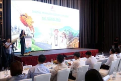 La cérémonie de lancement d'un vaste programme de stimulation touristique pour les derniers mois de 2025 à Da Nang. Photo : VNA