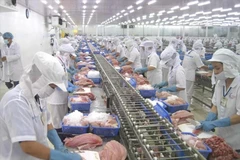 Transformation des produits aquatiques destinés à l'exportation. Photo : VietnamPlus