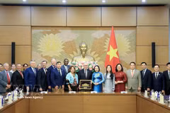 Les délégués posent pour une photo de groupe. Photo: VNA