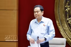 Le présidente de l'Assemblée nationale (AN) Tran Thanh Man s'exprime lors de la séance de travail. Photo : VNA