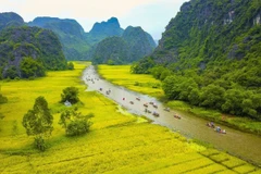 Quand créativité rime avec attractivité : les festivals au cœur du tourisme vietnamien