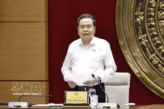 Le président de l’Assemblée nationale Tran Thanh Man s'exprime. Photo: VNA
