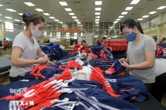 Confection de vêtements d'exportation à la Thai Nguyen Garment Company. (Photo : VNA)