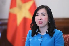 La vice-ministre des Affaires étrangères, Lê Thi Thu Hang. Photo: VNA