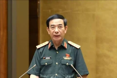 Le ministre de la Défense, Phan Van Giang. Photo : VNA