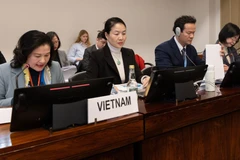La vice-ministre de l'Intérieur, Nguyen Thi Ha, défend le 9e rapport national sur la mise en œuvre de la CEDAW. Photo : VNA