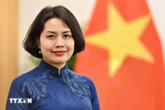 L’ambassadrice du Vietnam en Finlande et en Estonie, Pham Thi Thanh Binh. Photo : VNA