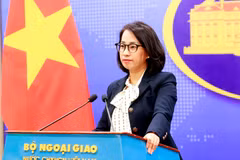 La porte-parole du ministère des Affaires étrangères, Pham Thu Hang. Photo: VNA