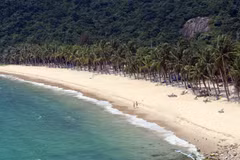 Les superbes plages de sable blanc de l'île de Cu Lao Cham (ville de Da Nang) attirent de nombreux touristes. Photo: VNA