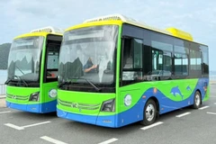 Côn Dao mettra en service sa première ligne de bus électrique publique le 25 décembre. Photo: laodong.vn