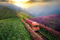 Le train de montagne de Muong Hoa enrichit l'expérience du tourisme vert des visiteurs une fois venus à Sa Pa. Photo : VNA