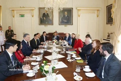 Entretien entre le secrétaire général du Parti communiste du Vietnam et président vietnamien, To Lam, et le président irlandais, Michael Higgins, à Dublin, le 2 octobre 2024. Photo : VNA