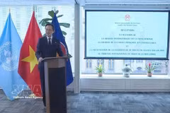 L'ambassadeur Do Hung Viet, chef de la Mission permanente du Vietnam auprès des Nations Unies. Photo: VNA