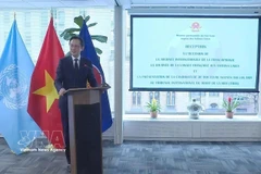 L'ambassadeur Do Hung Viet, chef de la Mission permanente du Vietnam auprès des Nations Unies. Photo: VNA