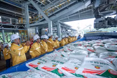 Chargement d'engrais sur un navire destiné à l'exportation. Photo: Petrovietnam