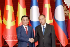 Le membre du Bureau politique et permanent du Secrétariat du Comité central du Parti communiste du Vietnam, Tran Cam Tu (à gauche), et son homologue du Parti populaire révolutionnaire lao (PPRL), Vilay Lakhamphong. Photo : VNA