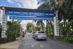 La commune de Dai Dien (district de Thach Phu, province de Ben Tre), répond aux normes de Nouvelle Ruralité. Photo d'illustration : VNA