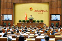 Poursuivant les travaux de sa première session extraordinaire, l'Assemblée nationale (AN) de la 16e législature entendront dans la matinée du 7 août, la présentation de propositions et de rapports d'examen concernant trois projets de loi, avant de procéder à des discussions en groupes. Photo : VNA