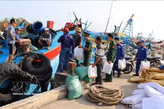 Dans la province de Dong Thap, les gardes-frontières sensibilisent les pêcheurs du port de pêche de Vam Lang, commune de Gia Thuan, à la prévention et à la lutte contre la pêche INN. Photo : VNA
