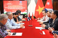 Panorama de la séance de travail. Photo: VNA