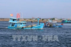 Photo : VNA