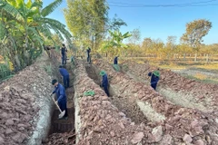 Depuis le début de la saison sèche 2025-2026, l’équipe K53 a rapatrié les restes d’un total de neuf martyrs, dont sept au Laos et deux au Cambodge. Photo : VNA