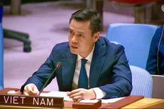 L'ambassadeur Dang Hoang Giang, chef de la Mission permanente du Vietnam auprès de l'ONU. Photo: VNA