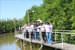 Des touristes visitent et découvrent les forêts de mangroves des communes côtières de l'île d'An Hoa, dans la province de Vinh Long. Photo : VNA