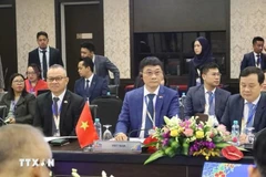 Une délégation de l'Assemblée nationale du Vietnam, conduite par son vice-président Vu Hong Thanh, a participé à la réunion préparatoire de l'Interface des dirigeants ASEAN-AIPA 2025 (Interface ASEAN-AIPA), qui s'est tenue le 25 mai à Kuala Lumpur, en Malaisie. Photo : VNA