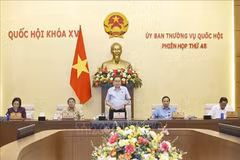 Le président de l'AN Trân Thanh Mân prend la parole lors de la 48ᵉ réunion du Comité permanent de l'Assemblée nationale. Photo: VNA