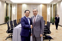 Le vice-Premier ministre, ministre des Affaires étrangères (AE) Bui Thanh Son (gauche) et le ministre chinois des AE Wang Yi. Photo: baochinhphu.vn
