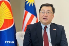 L’ambassadeur de Malaisie au Vietnam, Dato' Tan Yang Thai. Photo : VNA
