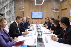 Le vice-Premier ministre Bùi Thanh Son s'entretient avec les dirigeants de Novatek. Photo : VNA