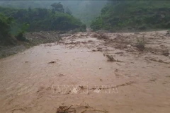 De fortes pluies survenues dans la nuit du 31 juillet au 1ᵉʳ août ont provoqué des inondations soudaines et des glissements de terrain dans plusieurs communes de la province montagneuse de Diên Biên. Photo : VNA